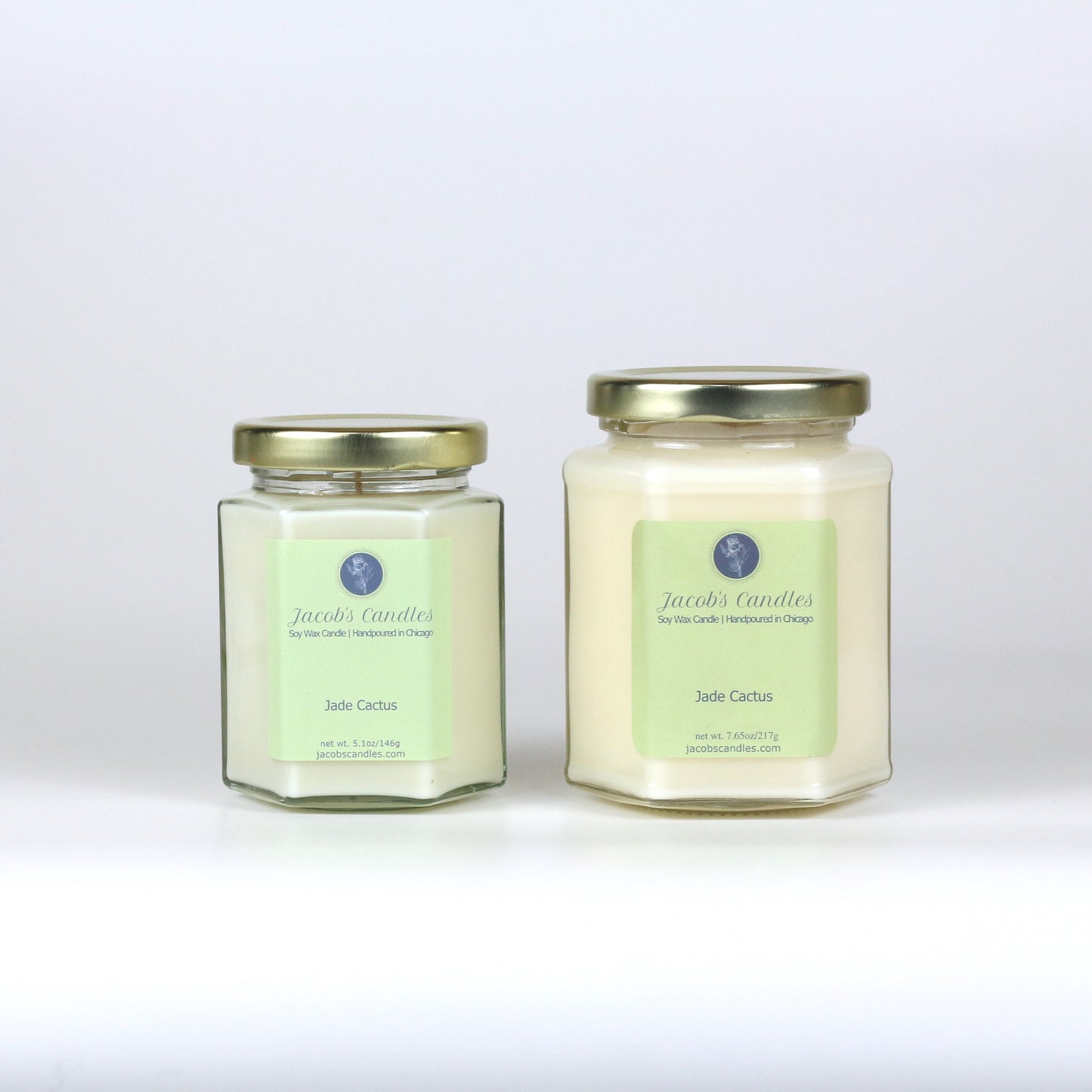 Jade Cactus | Handpoured Soy Wax Candle