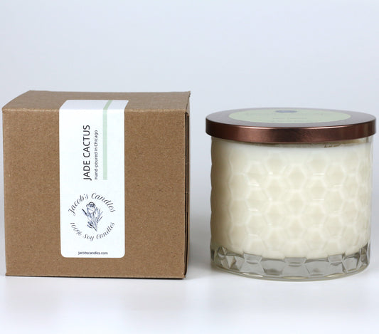 Jade Cactus | Handpoured 3-Wick Soy Wax Candle