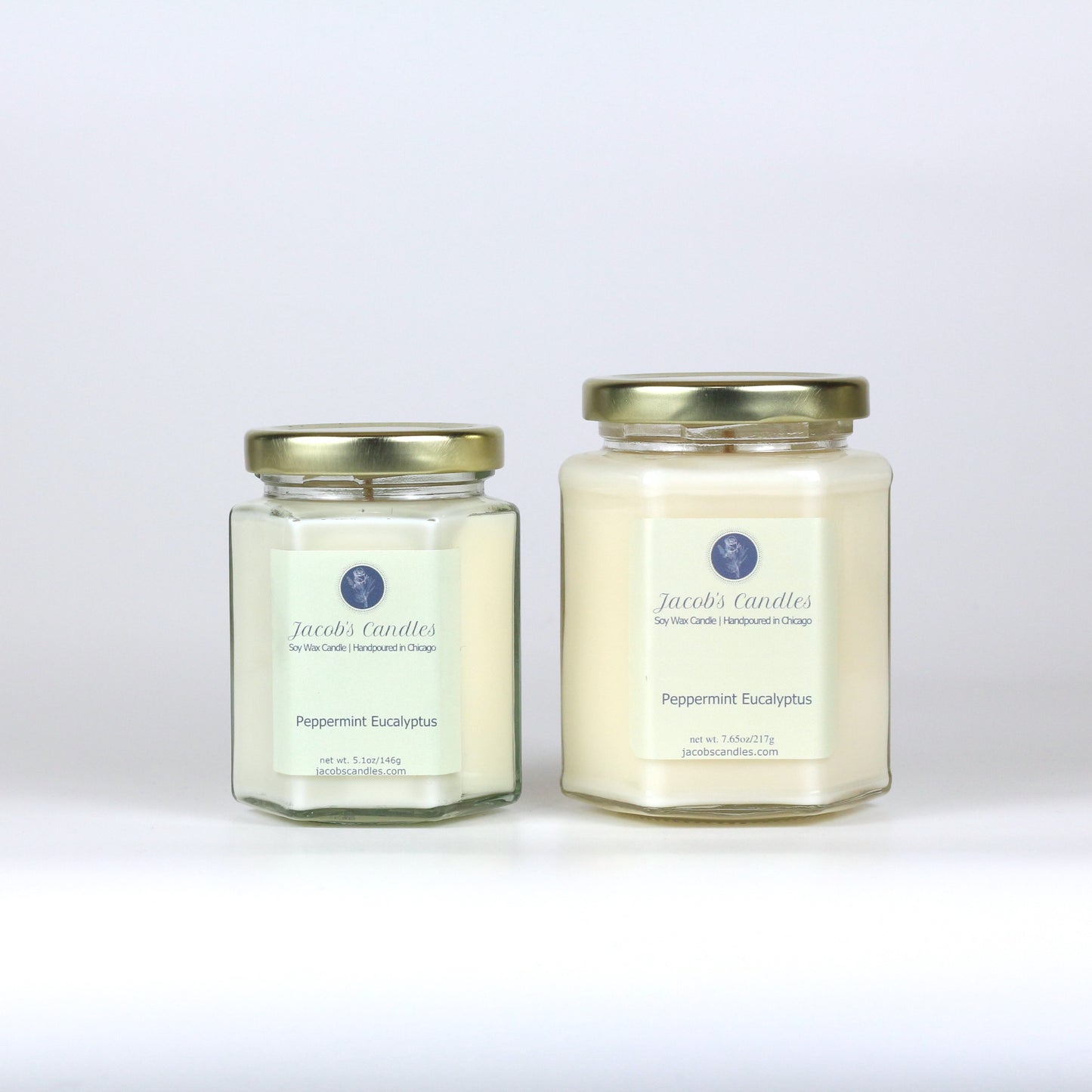 Peppermint Eucalyptus | Handpoured Soy Wax Candle