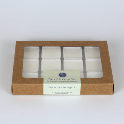 Peppermint Eucalyptus | Handpoured Soy Wax Melts